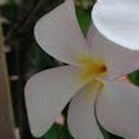 Meet your Posher, Joanne - Picture 1 of 1